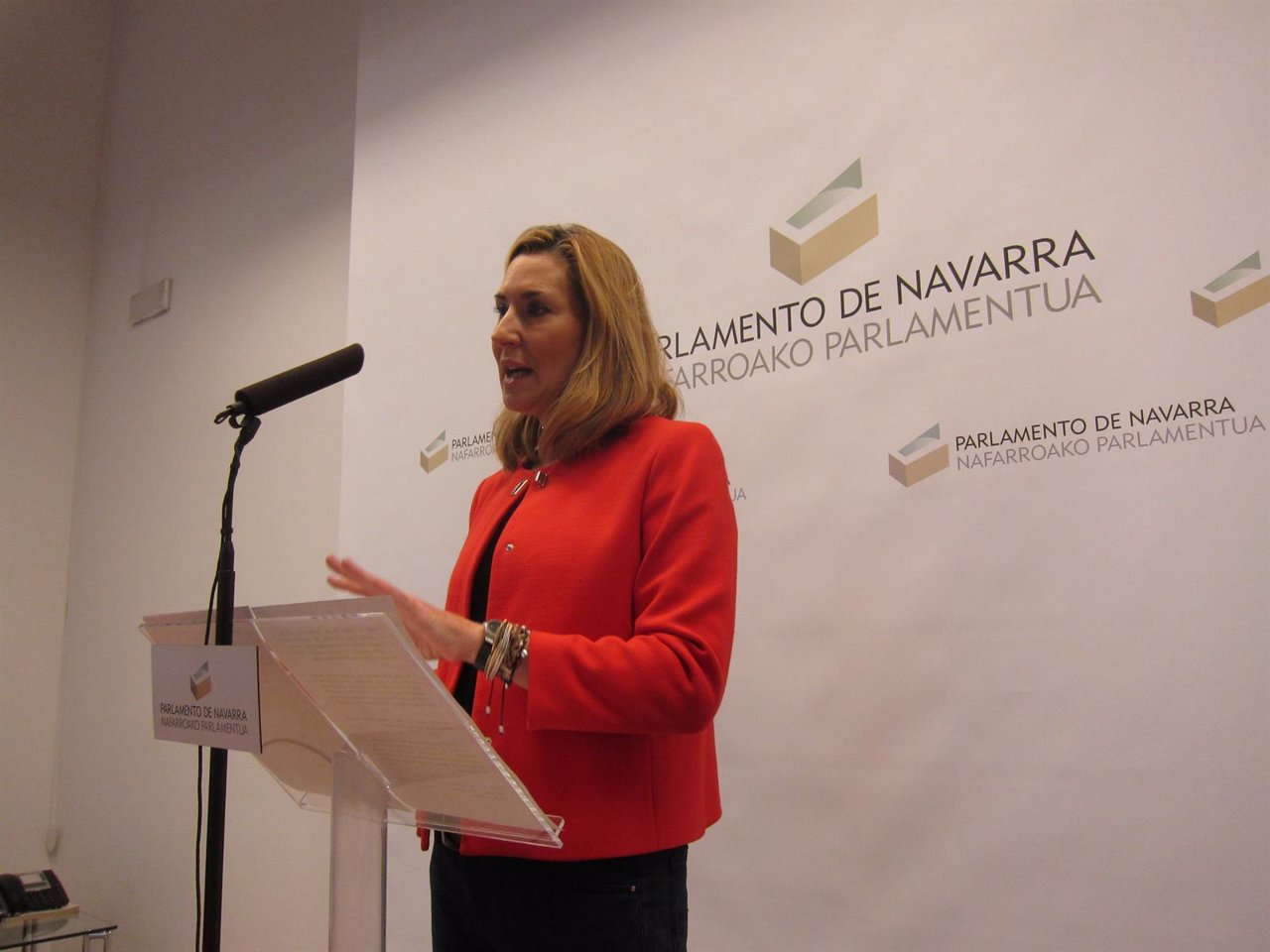 La portavoz del PPN en el Parlamento foral, Ana Beltrán