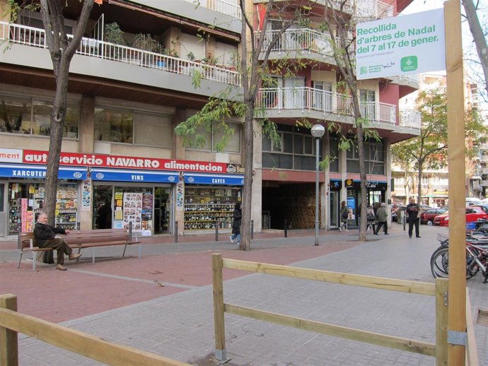 Puntos De Recogida De Arboles De Navidad 