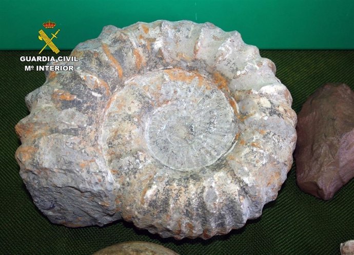 Guardia Civil recupera cerca de 200 objetos integrantes del Patrimonio Histórico