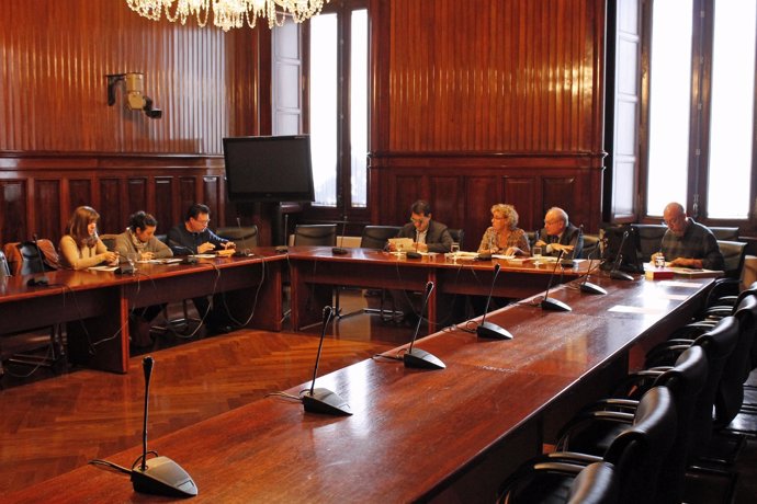Comisión del Estatuto de los Diputados del Parlament de Catalunya
