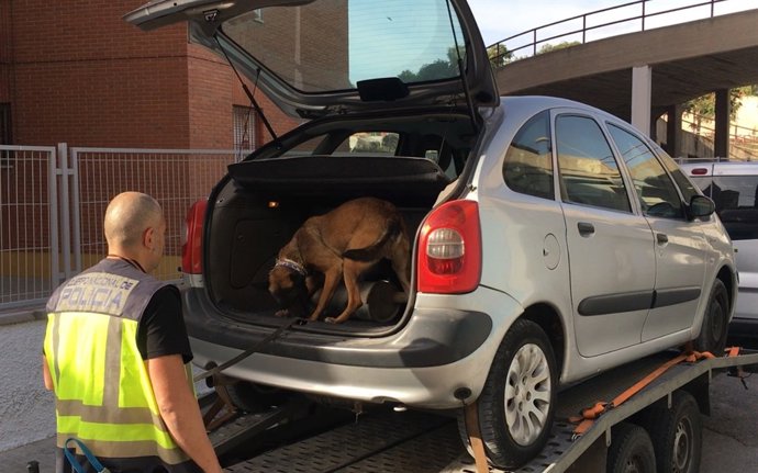 Hallados 39 paquetes de marihuana en el doble fondo de un coche en Alicante