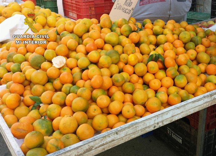 Imagen de parte de las mandarinas sustraídas en Fortuna