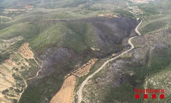 Incendio forestal en Albinyana (Tarragona)