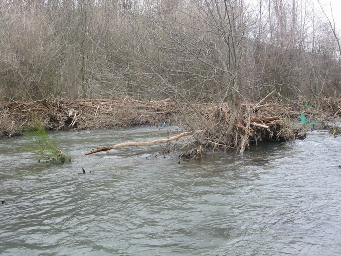 Imagen del temporal de enero en Galicia