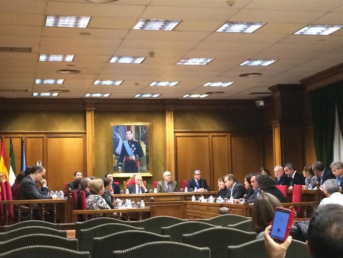 El Pleno ha aprobado por unanimidad dos proyectos de desarrollo sostenible.