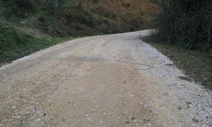 Pista del monte Peloño, en el Parque Natural de Ponga