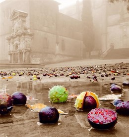 Imagen ganadora obra de Pedro Narváez