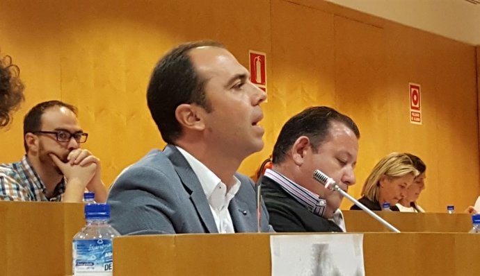 El portavoz de Ciudadanos Javier Millán