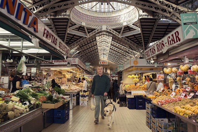 Usuario perro guia en mercado central