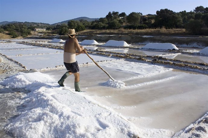 La Junta organiza el I Seminario de Patrimonio Inmaterial de Andalucía
