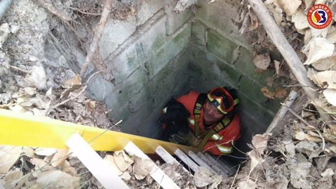 Rescate de un perro en Torre Llorís, Xàtiva