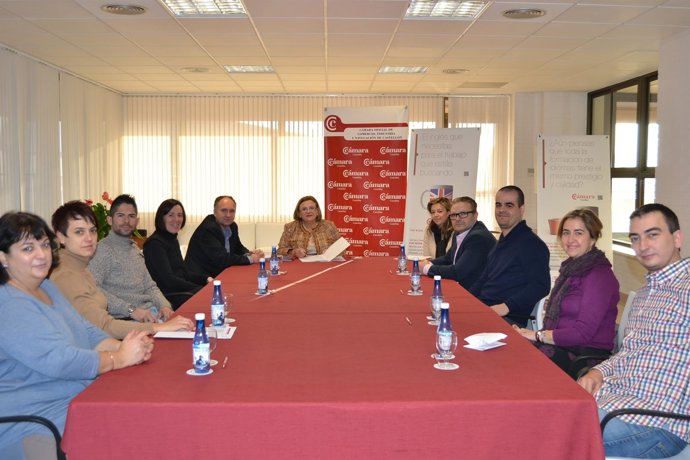 SUBVENCIONES DE LA CÁMARA