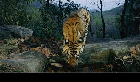 Cooperación y Desarrollo