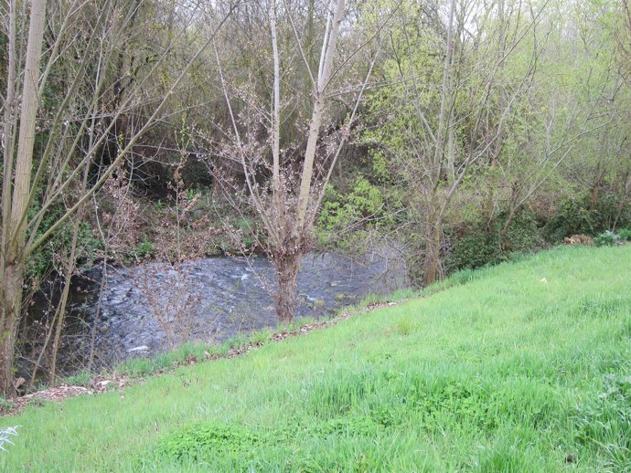 Río Tormes a su paso por Salamanca