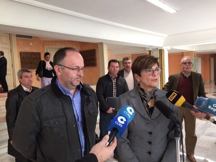 Presidenta Asamblea se reúne con plataforma afectados línea alta tensión