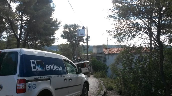Actuación de Endesa para integrar la línea en una zona boscosa