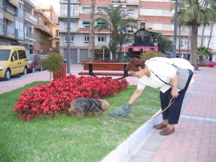 Una Mujer Recoge Excrementos De Su Mascota