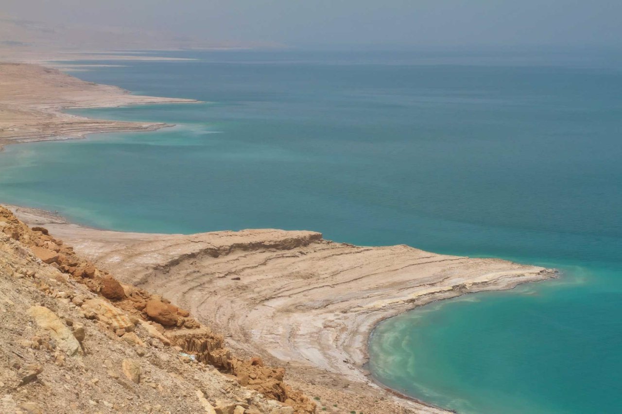 Un hongo del Mar Muerto podría acabar con el hambre en el mundo 