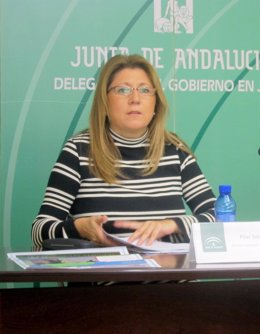 La delegada territorial de Cultura, Turismo y Deporte, Pilar Salaza.