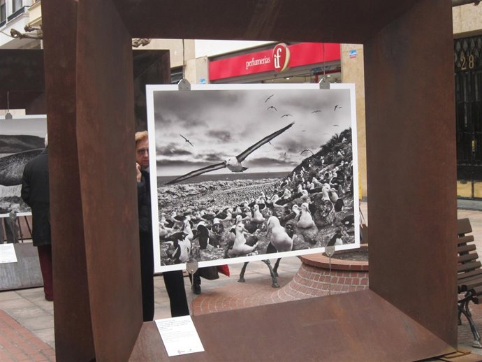 Fotografía de la exposición de Sebastiao Salgado