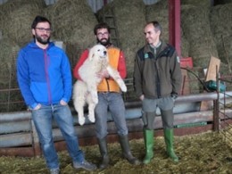 Perros para ahuyentar a osos en el Pirineo