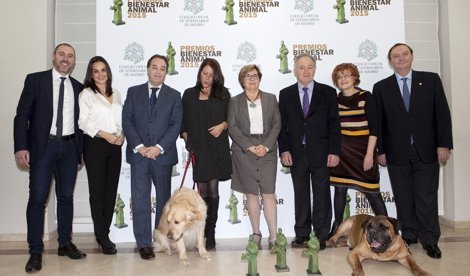 Cooperación y Desarrollo