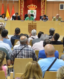 Pleno del Ayuntamiento de San Sebastián de los Reyes