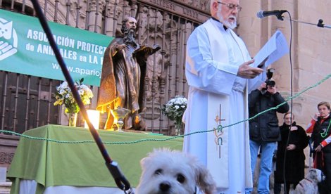 Cooperación y Desarrollo