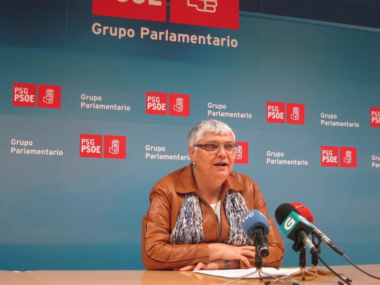 La diputada del PSdeG Marisol Soneira