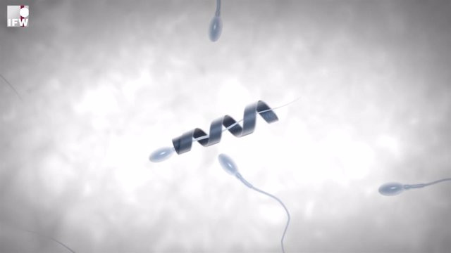 Spermbot, un robot para que los espermatozoides vagos den la talla