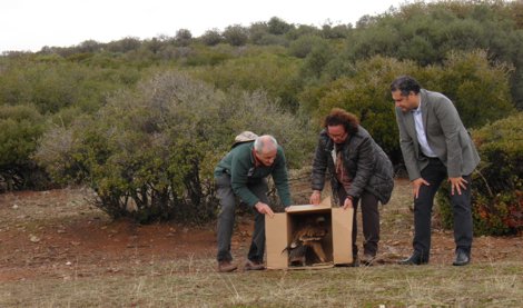 Cooperación y Desarrollo