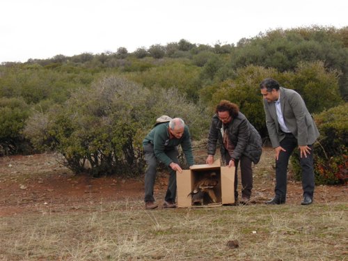 Suelta de Águila Imperial WWF