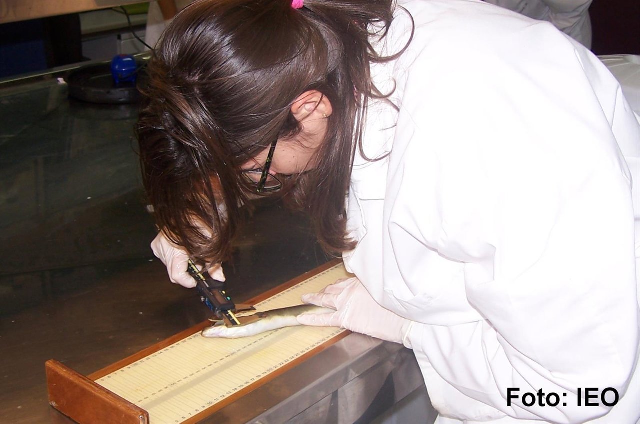 Imagen de una investigadora analizando un pez