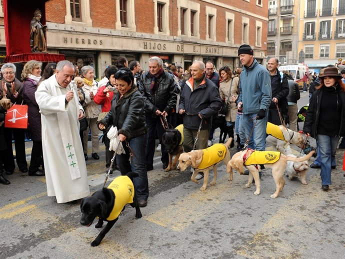 Futuros perro guía en las Vueltas de San Antón