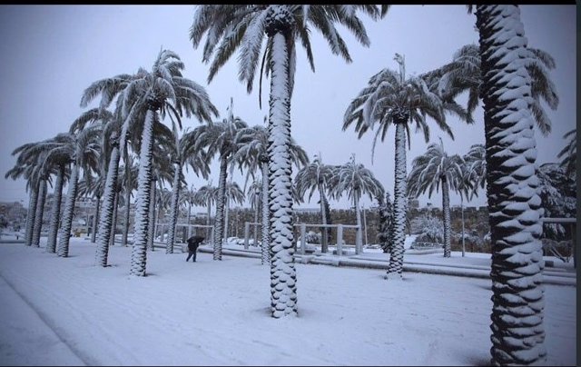 Nieve en Arabia Saudí
