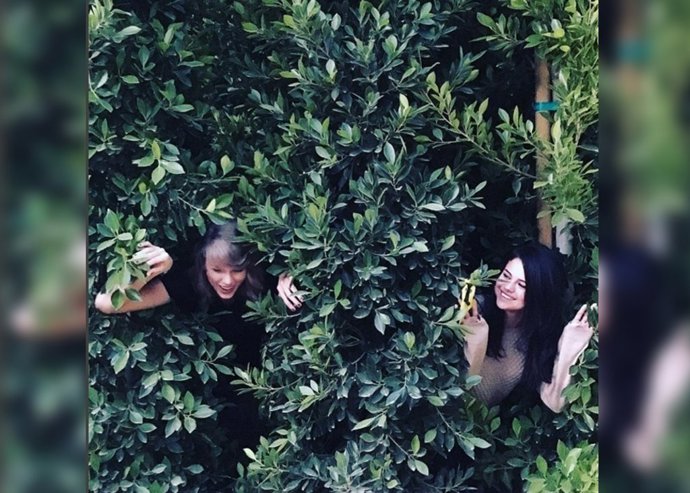 Taylor Swift y Selena Gomez en Instagram