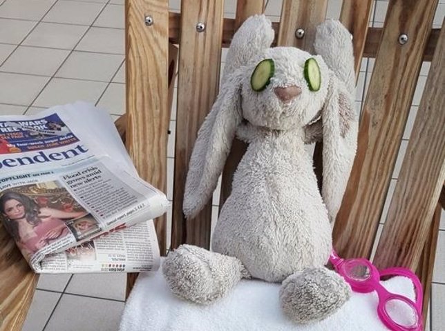 Conejo de peluche se convierte en huésped de un hotel