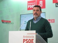 El PSOE de Huelva pide que se investigue "fehacientemente" los hechos en el yacimiento