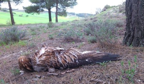 Cooperación y Desarrollo