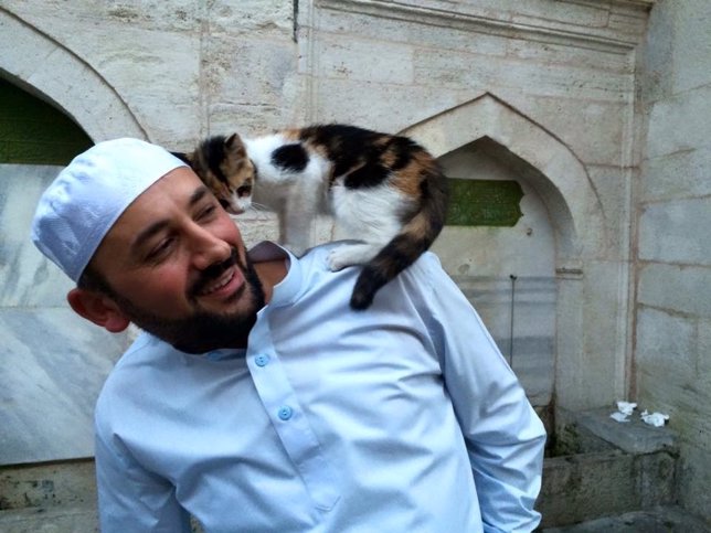 Una mezquita de Estambul abre sus puertas y da calor a gatos callejeros