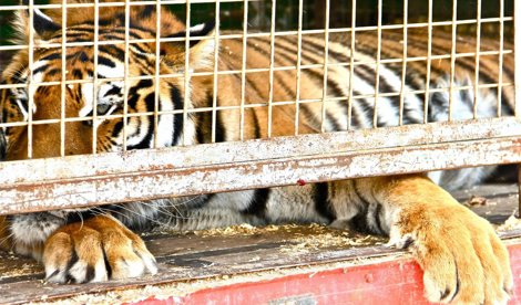 Cooperación y Desarrollo