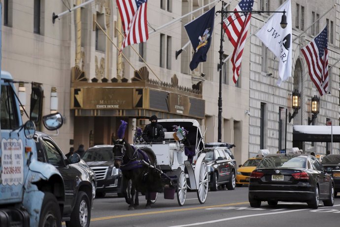 Carruaje tirado por caballo en Nueva York