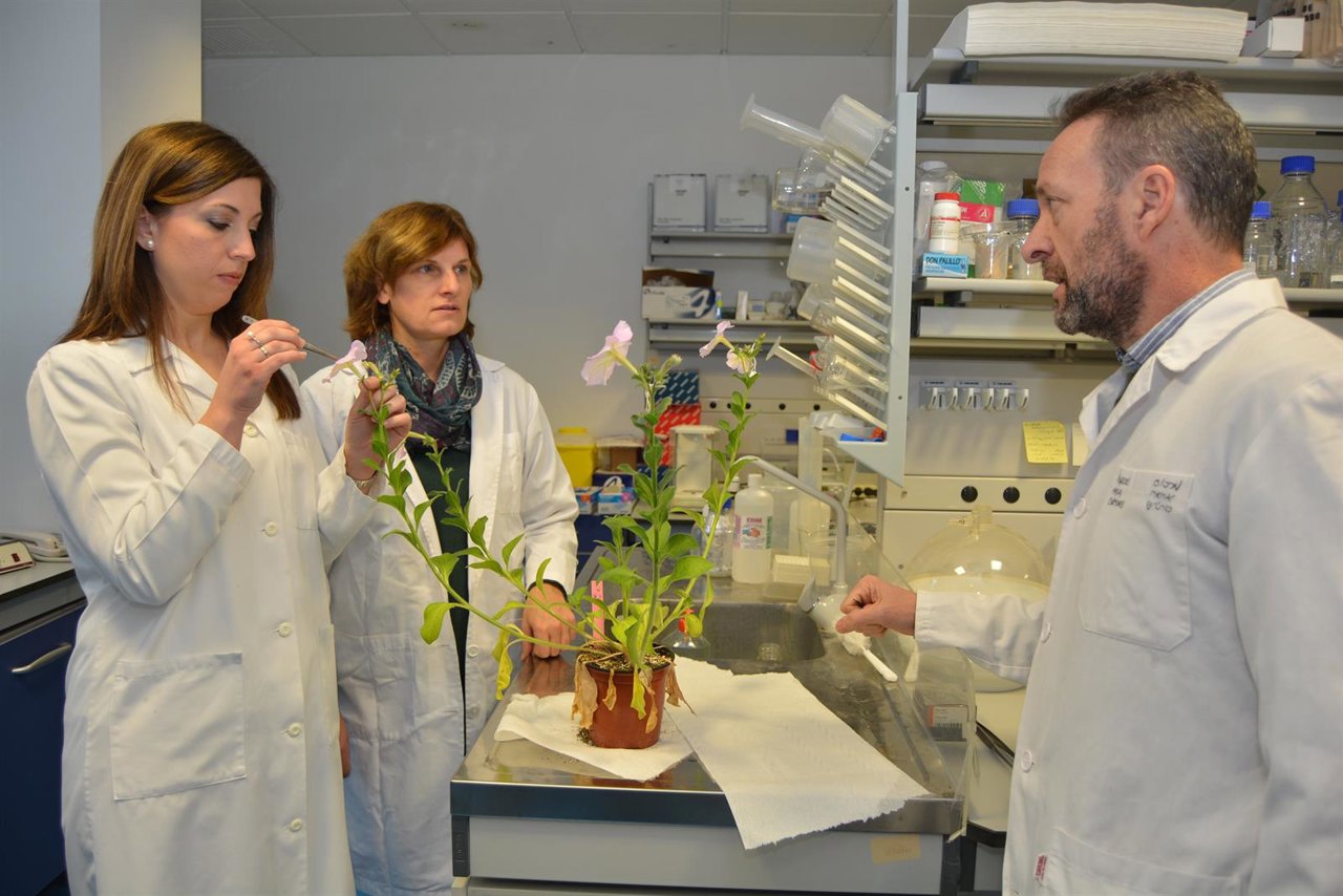 La nueva doctora Manchado Rojo, junto a sus directores de tesis