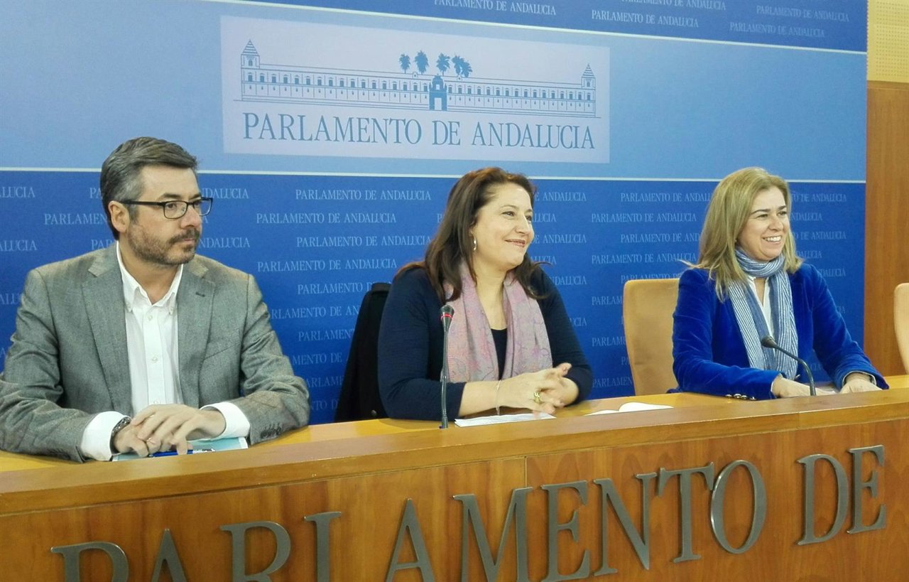 Carmen Crespo junto a los miembros del PP en la comisión de investigación