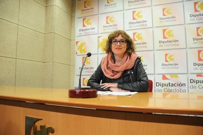 Ruz presenta los programas y subvenciones para 2016