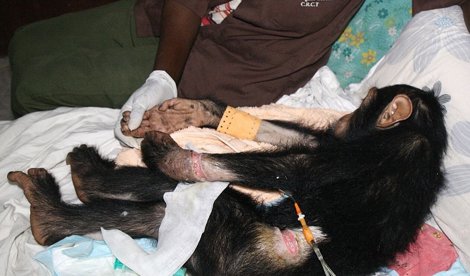 Cooperación y Desarrollo