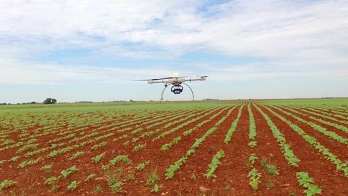 Un drone sobrevuela un campo de girasoles