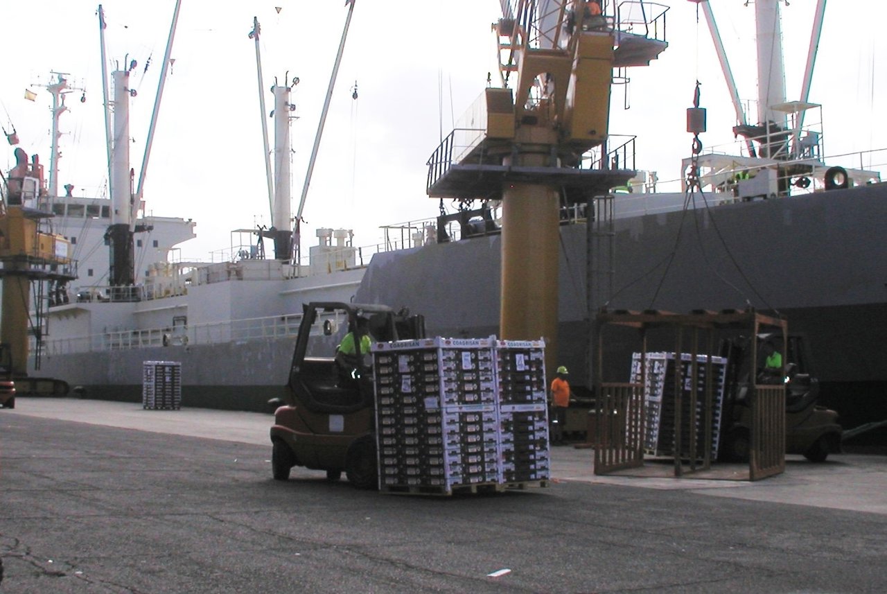 Exportación de tomate canario