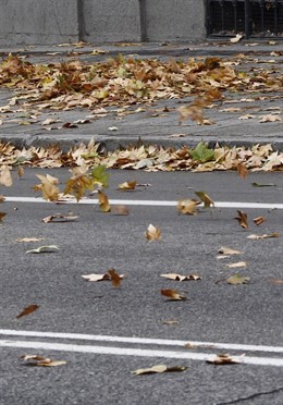 Recursos de viento, temporal, hojas, otoño