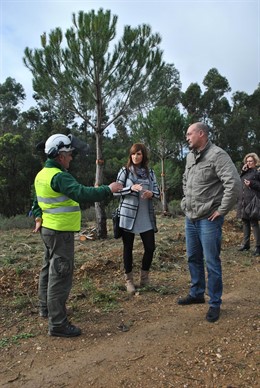 Tareas preventivas del Infoca en 460 hectáreas de Huelva. 